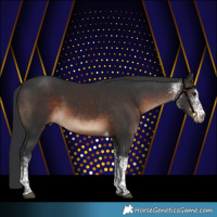 Horse Color:White Spotted Brown Tobiano Rabicano 