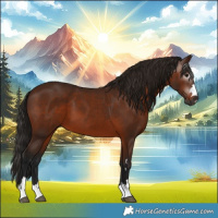 Horse Color:Gray Bay 