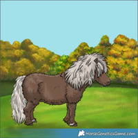 Horse Color:Silver Black 