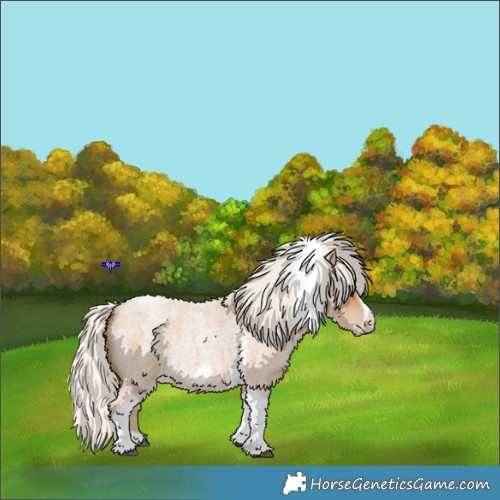 Horse Color:Silver Blue Roan Pearl Tobiano Frame 