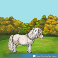 Horse Color:Silver Blue Roan Pearl Tobiano Frame 