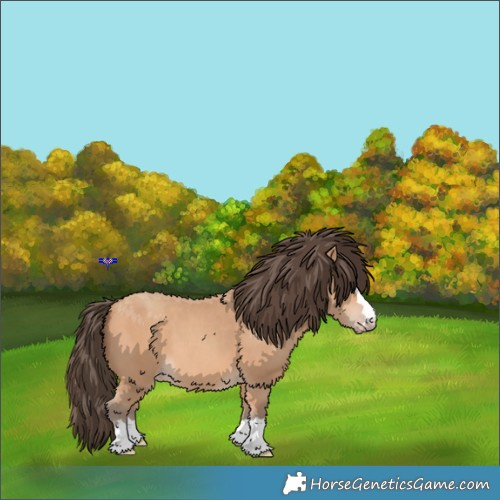 Horse Color:Amber Champagne 