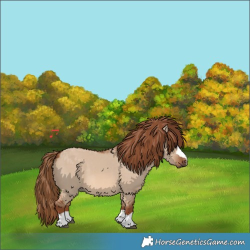 Horse Color:Red Dun