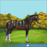 Horse Color:Powder White Gray White Spotted Bay 