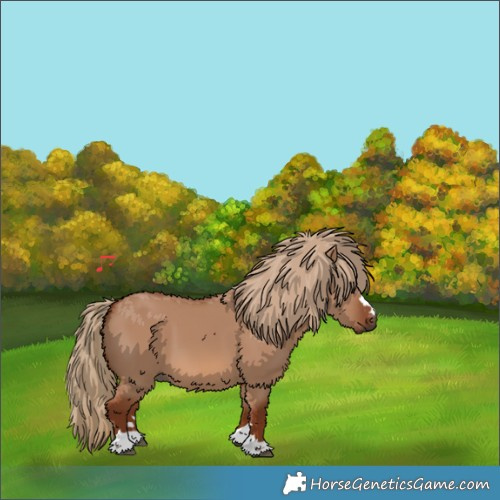 Horse Color:Red Dun 