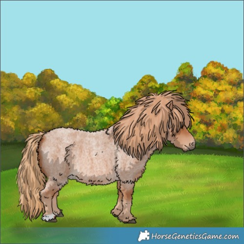 Horse Color:Red Roan 