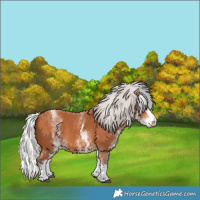 Horse Color:White Spotted Silver Bay Splash 