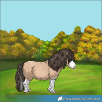 Horse Color:Amber Champagne Splash 