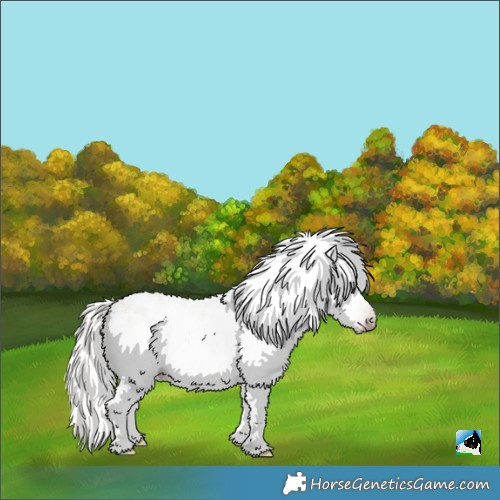 Horse Color:Gray Silver Amber Cream Champagne Roan Dun Splash Tobiano Frame Appaloosa Rabicano 