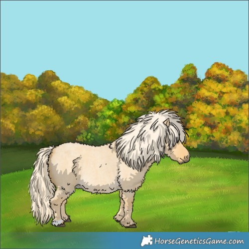Horse Color:Palomino Roan Dun