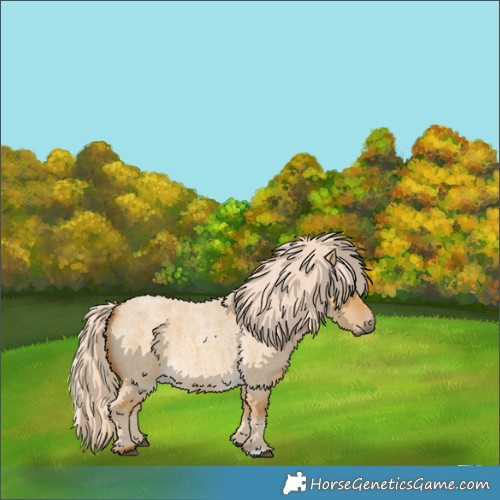 Horse Color:Palomino Roan Dun 