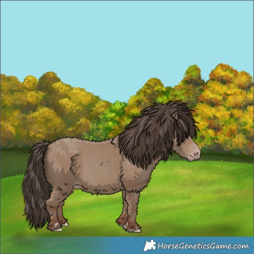 Horse Color:Classic Champagne 