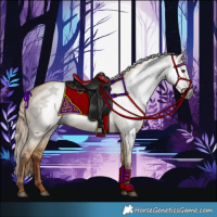 Horse Color:Gray Red Dun 