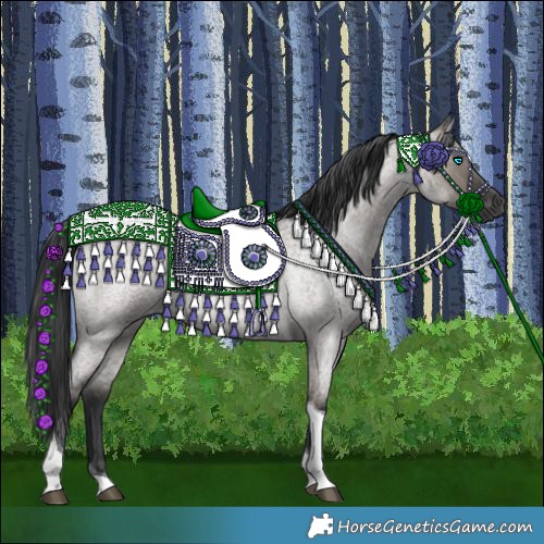 Horse Color:Grullo Roan Tobiano 