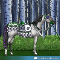 Horse Color:Grullo Roan Tobiano