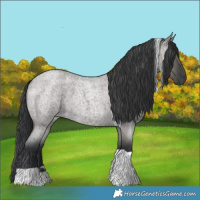 Horse Color:Grullo Roan Tobiano