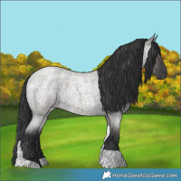 Horse Color:Grullo Roan Tobiano 
