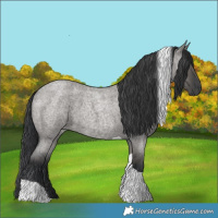 Horse Color:Grullo Roan Tobiano 