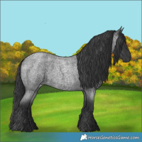 Horse Color:Blue Roan 