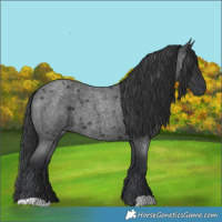Horse Color:Blue Roan