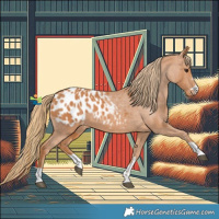 Horse Color:Chestnut Blanket 