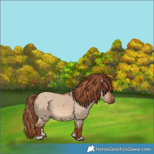 Horse Color:Red Dun 
