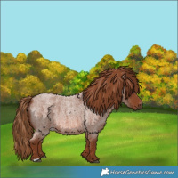 Horse Color:Red Roan 