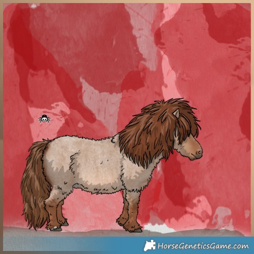 Horse Color:Red Dun Roan 