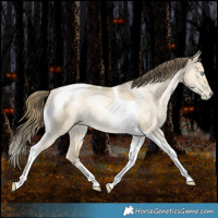 Horse Color:Brown Snowdrop Dun Tobiano Rabicano 