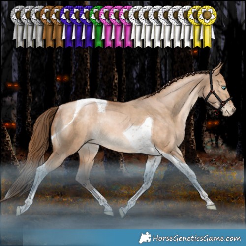 Horse Color:Bay Pearl Dun Tobiano Rabicano 