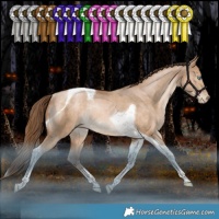 Horse Color:Bay Pearl Dun Tobiano Rabicano