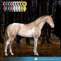 Horse Color:Bay Pearl Dun Tobiano Rabicano