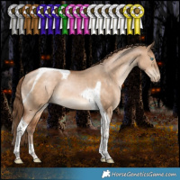 Horse Color:Bay Pearl Dun Tobiano Rabicano