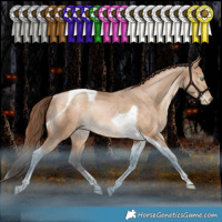 Horse Color:Bay Snowdrop Pearl Dun Tobiano Rabicano