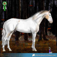 Horse Color:Gray White Spotted Silver Sable Cream Champagne Dun Splash Tobiano Frame Appaloosa Rabicano 