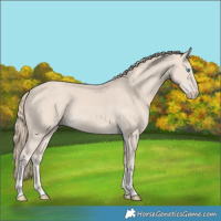 Horse Color:Smoky Creme 