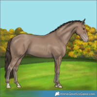 Horse Color:Classic Champagne 