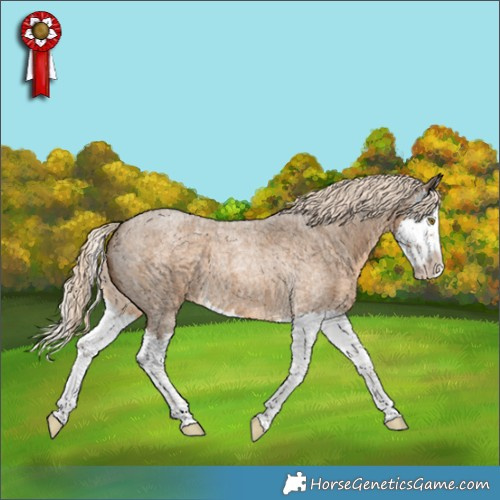 Horse Color:Chocolate Palomino Roan Splash 
