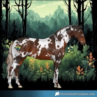 Horse Color:White Spotted Liver Chestnut 