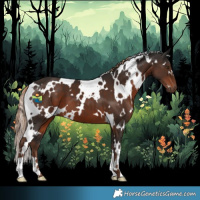 Horse Color:White Spotted Liver Chestnut 