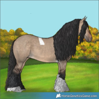 Horse Color:Brown Dun Tobiano 
