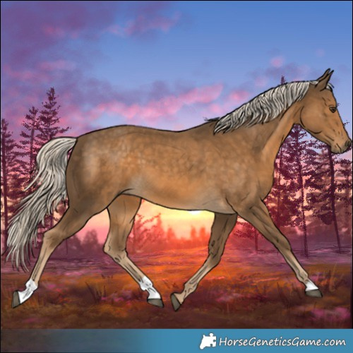 Horse Color:Chocolate Palomino 