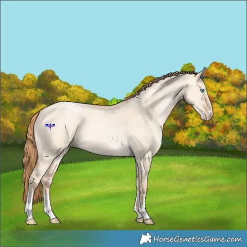 Horse Color:Buckskin Pearl Dun Sabino 
