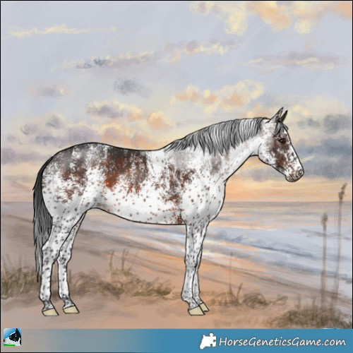 Horse Color:White Spotted Brown Mushroom 