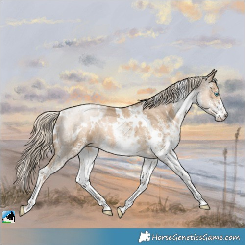 Horse Color:White Spotted Chocolate Palomino Pearl Mushroom Rabicano
