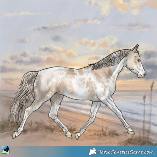 Horse Color:White Spotted Chocolate Palomino Pearl Mushroom Rabicano 
