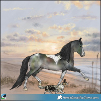 Horse Color:White Spotted Black Mushroom Tobiano Rabicano