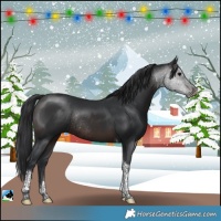 Horse Color:Brown Tobiano Rabicano