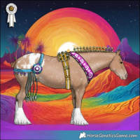 Horse Color:Black Pearl Appaloosa