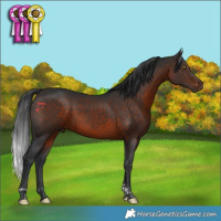 Horse Color:Brown Tobiano 
